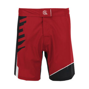 Wrestling Fight Shorts